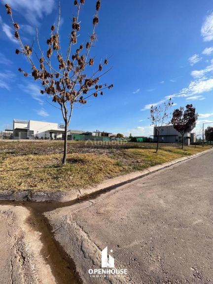 Terreno en Venta en Lujan de Cuyo, Mendoza
