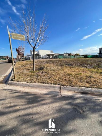 Terreno en Venta en Lujan de Cuyo, Mendoza