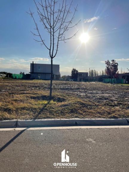 Terreno en Venta en Lujan de Cuyo, Mendoza