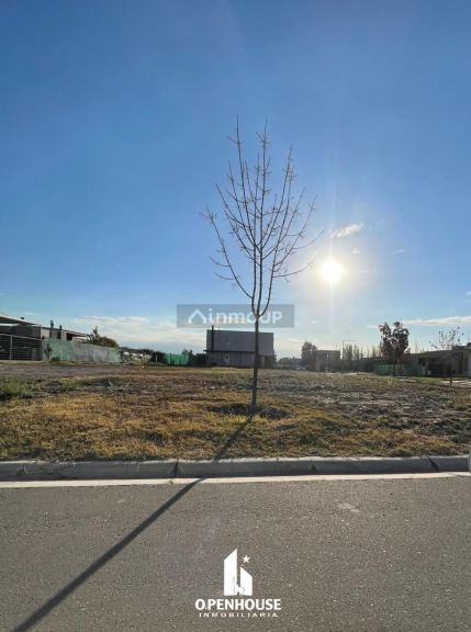 Terreno en Venta en Lujan de Cuyo, Mendoza