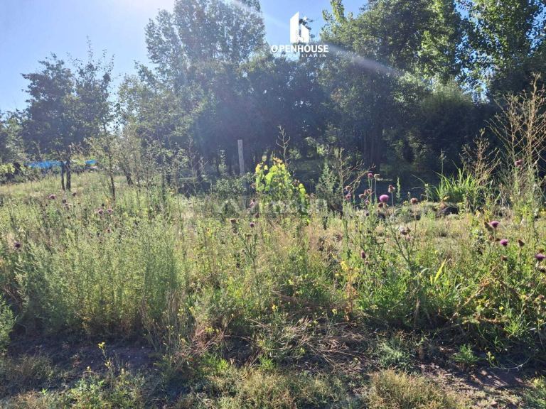 Terreno en Venta en Tunuyan, Mendoza - USD 54.000 | Inmoup - 7