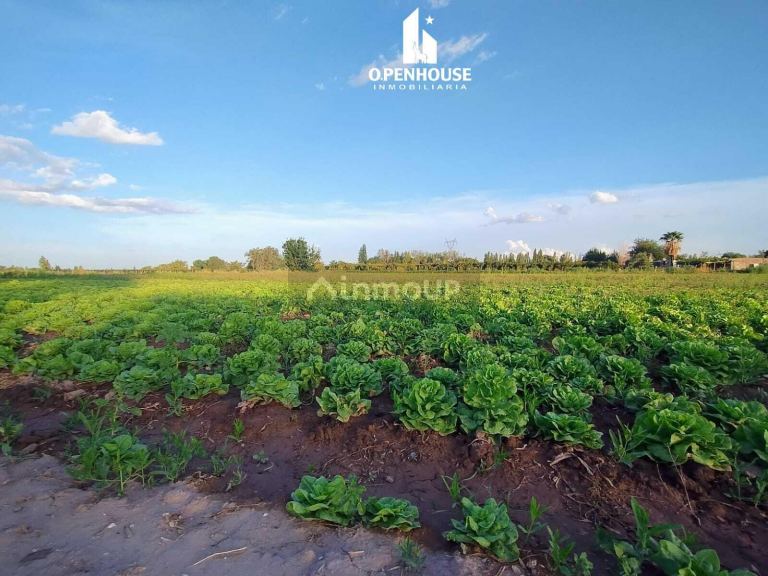 Terreno en Venta en Guaymallen, Mendoza