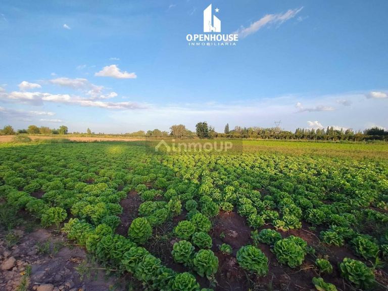 Terreno en Venta en Guaymallen, Mendoza