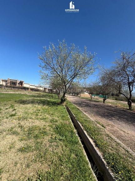 Terreno en Venta en Lujan de Cuyo, Mendoza