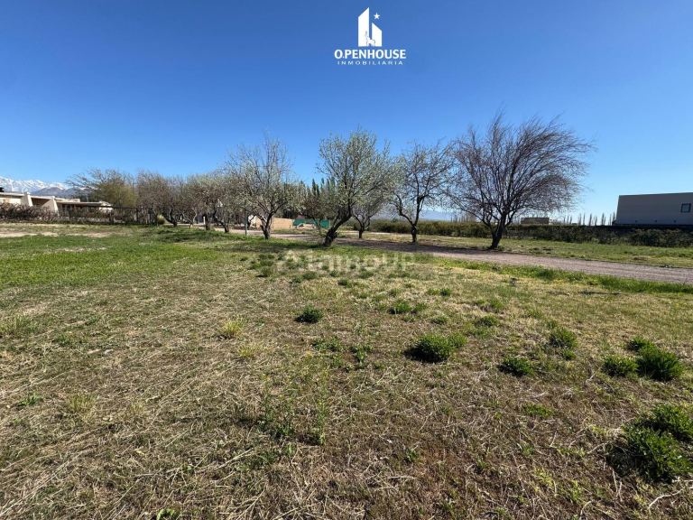 Terreno en Venta en Lujan de Cuyo, Mendoza
