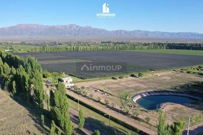 Terreno en Venta en Lujan de Cuyo, Mendoza