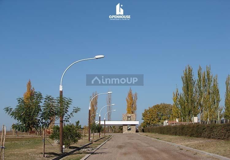 Terreno en Venta en Lujan de Cuyo, Mendoza
