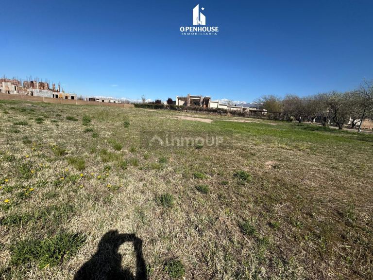 Terreno en Venta en Lujan de Cuyo, Mendoza