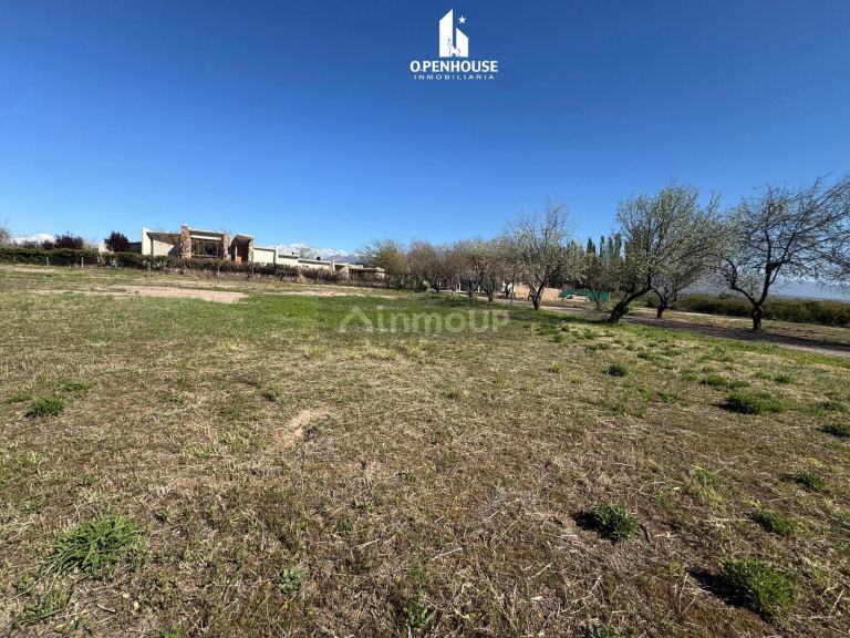 Terreno en Venta en Lujan de Cuyo, Mendoza