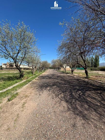 Terreno en Venta en Lujan de Cuyo, Mendoza