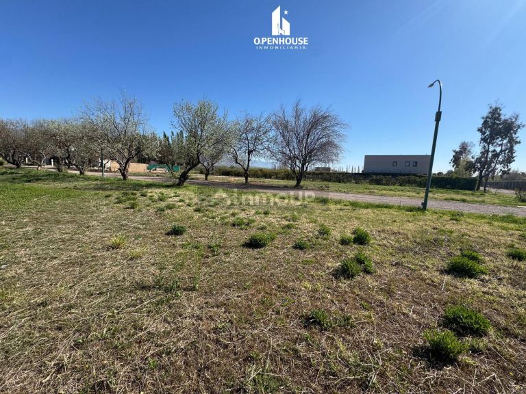 Terreno en Venta en Lujan de Cuyo, Mendoza