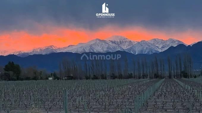 Terreno en Venta en Lujan de Cuyo, Mendoza