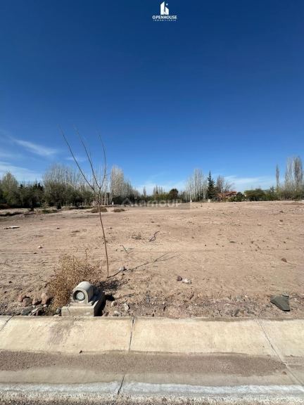 Terreno en Venta en Lujan de Cuyo, Mendoza