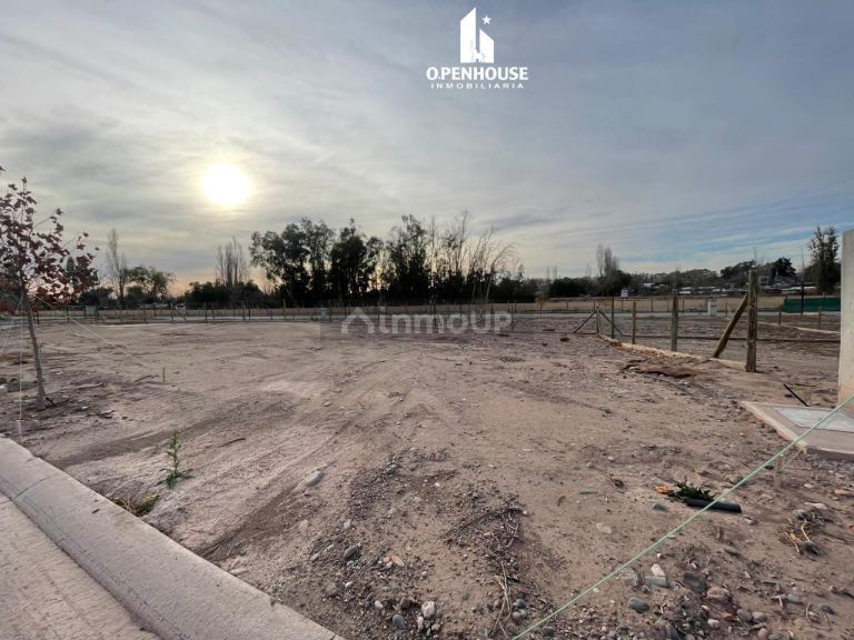 Terreno en Venta en Lujan de Cuyo, Mendoza