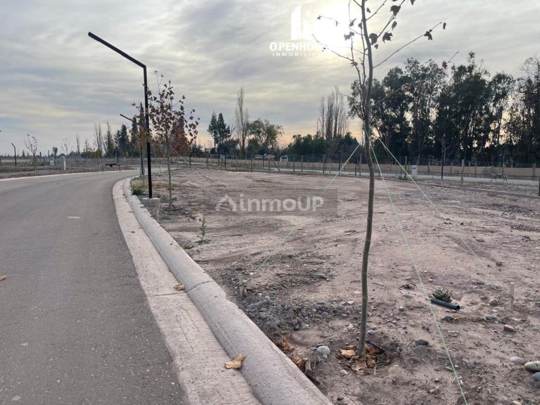 Terreno en Venta en Lujan de Cuyo, Mendoza