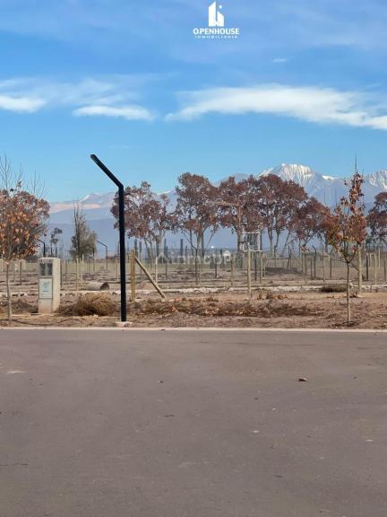 Terreno en Venta en Lujan de Cuyo, Mendoza