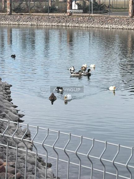 Terreno en Venta en Lujan de Cuyo, Mendoza