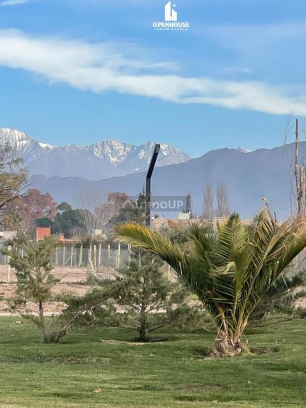 Terreno en Venta en Lujan de Cuyo, Mendoza