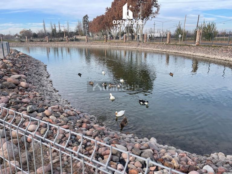 Terreno en Venta en Lujan de Cuyo, Mendoza