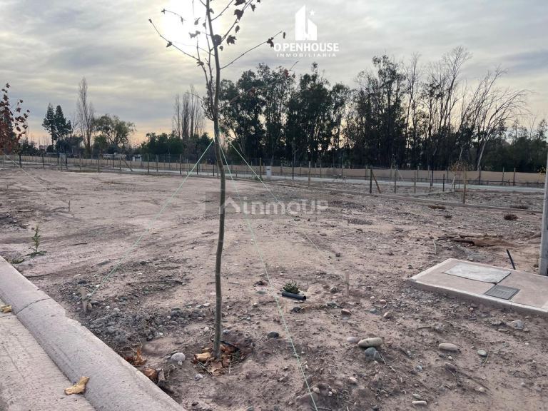 Terreno en Venta en Lujan de Cuyo, Mendoza