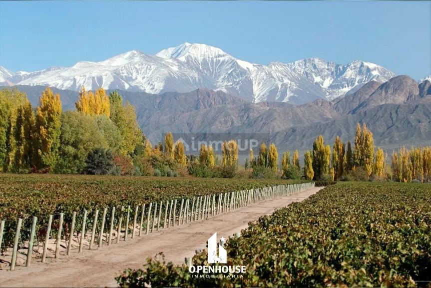 Terreno en Venta en Lujan de Cuyo, Mendoza