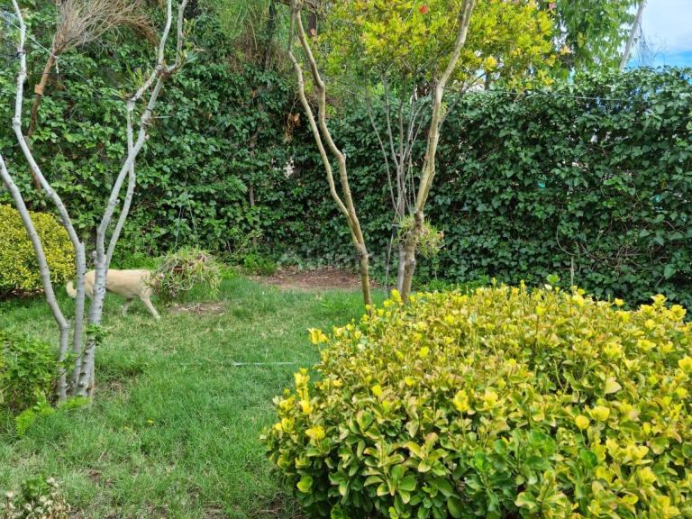 Duplex en Alquiler en Las Heras, Mendoza