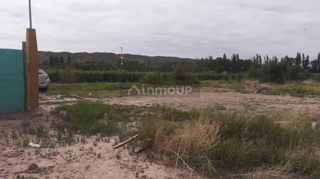 Lote en Venta en Lujan de Cuyo, Mendoza