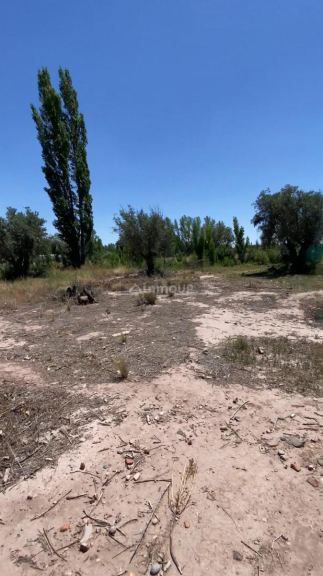 Lote en Venta en Lujan de Cuyo, Mendoza
