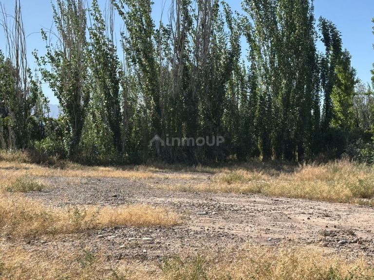 Lote en Venta en Maipu, Mendoza