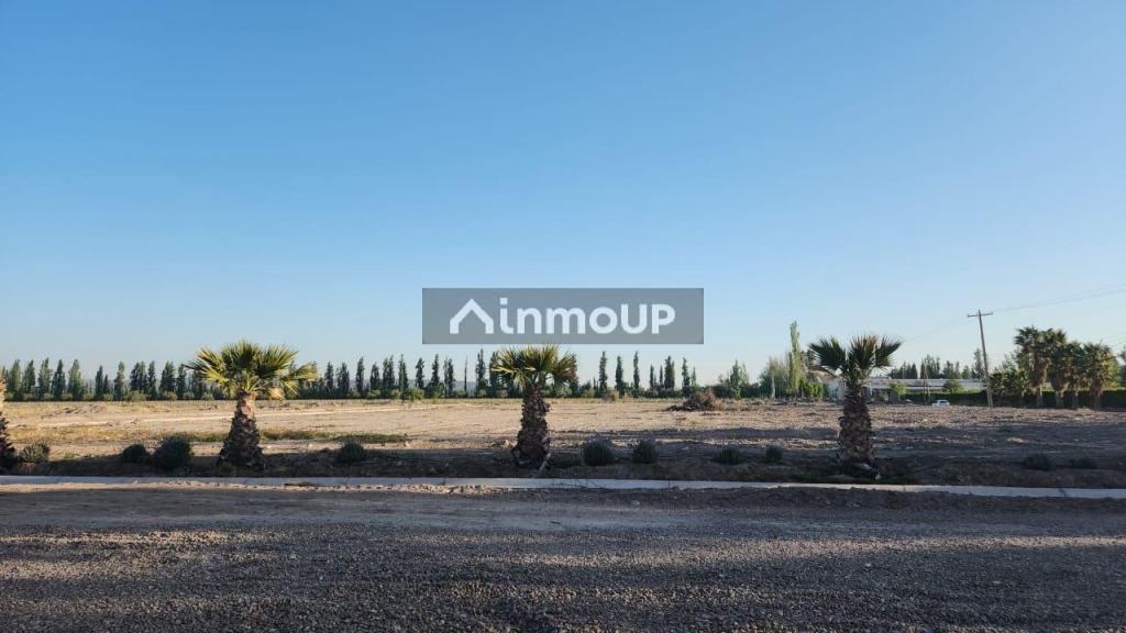Lote en Venta en Lujan de Cuyo, Mendoza