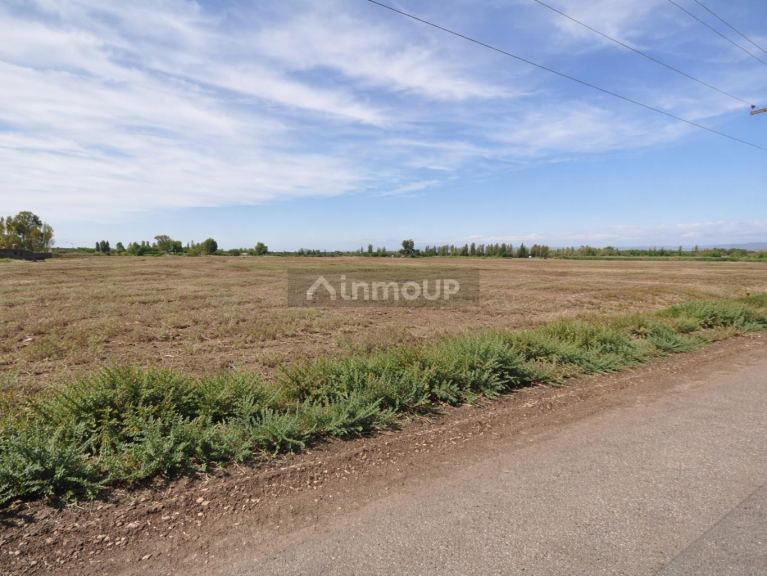 Terreno en Venta en Albardon, San Juan