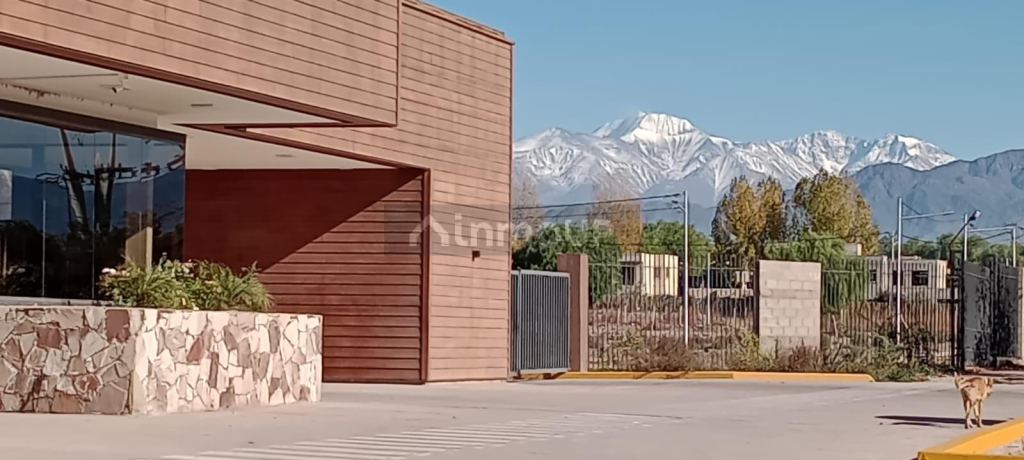 Lote en Venta en Lujan de Cuyo, Mendoza