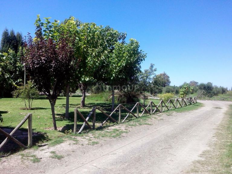 Finca en Venta en Lavalle, Mendoza