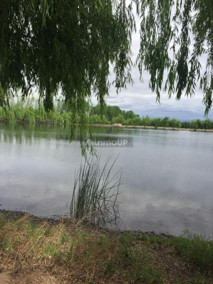 Finca en Venta en Lavalle, Mendoza