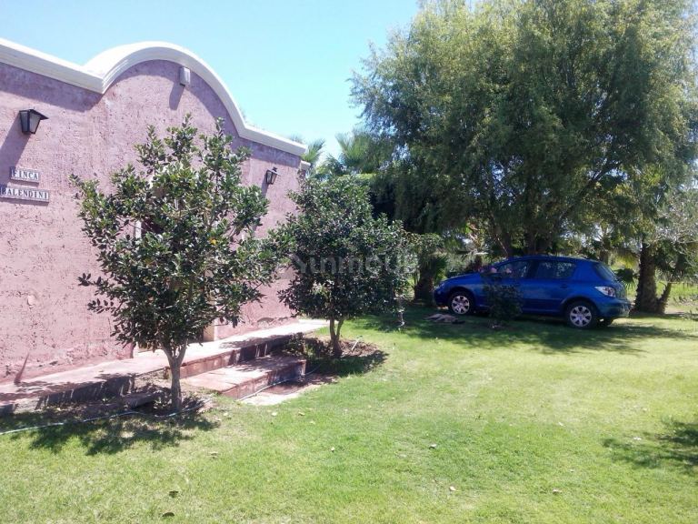 Finca en Venta en Lavalle, Mendoza