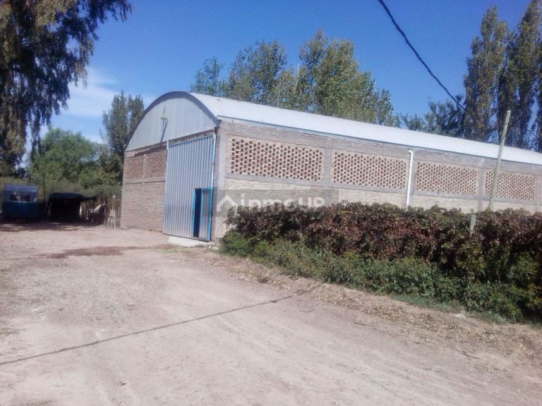 Finca en Venta en Lavalle, Mendoza