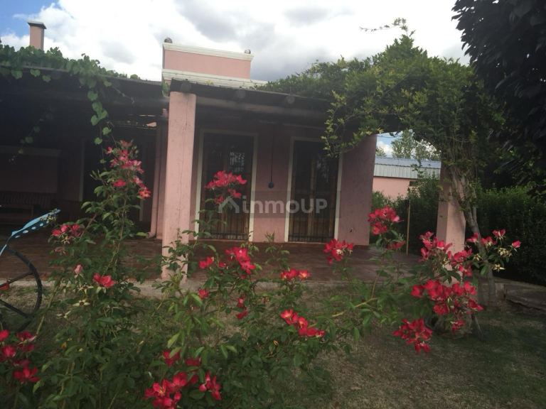 Finca en Venta en Lavalle, Mendoza