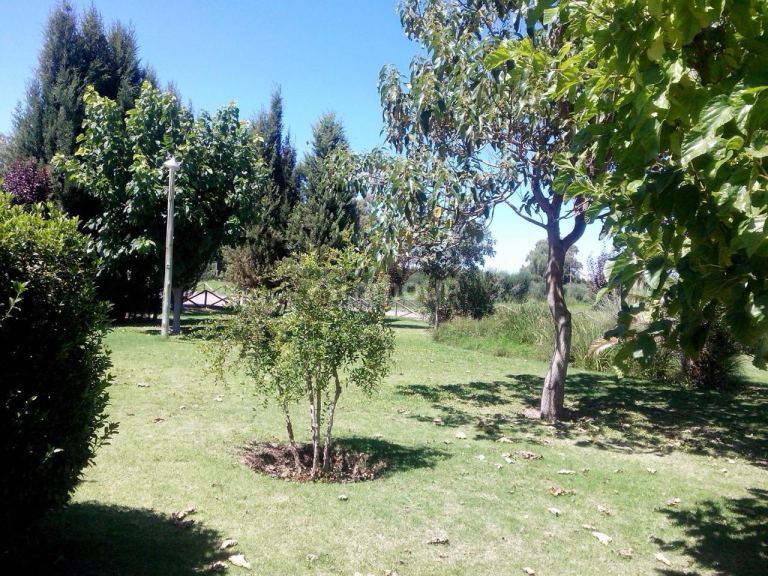Finca en Venta en Lavalle, Mendoza