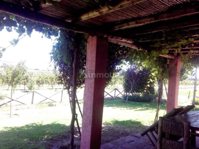 Finca en Venta en Lavalle, Mendoza