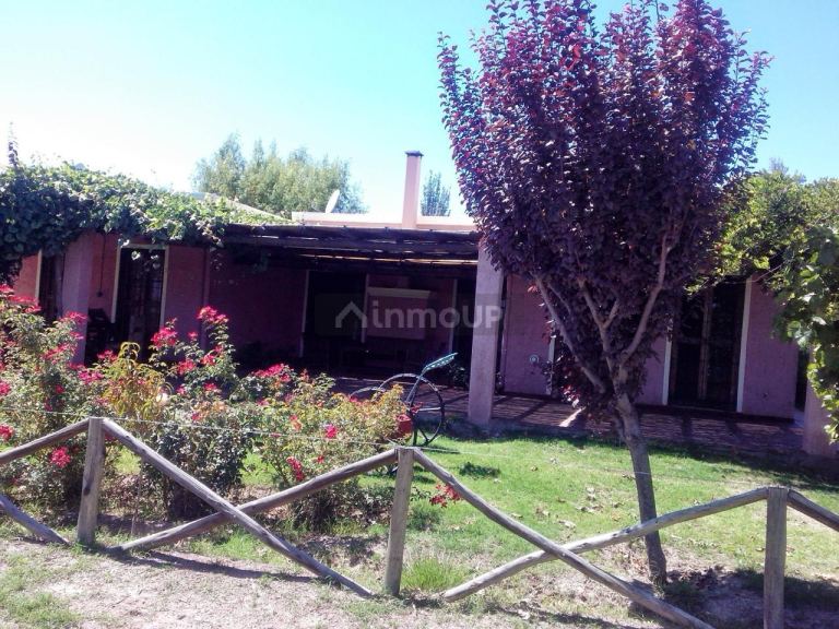 Finca en Venta en Lavalle, Mendoza