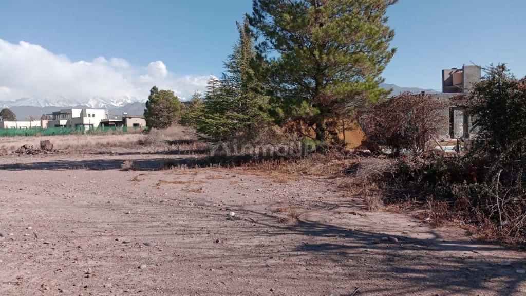 Lote en Venta en Lujan de Cuyo, Mendoza