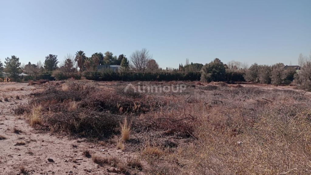 Lote en Venta en Lujan de Cuyo, Mendoza