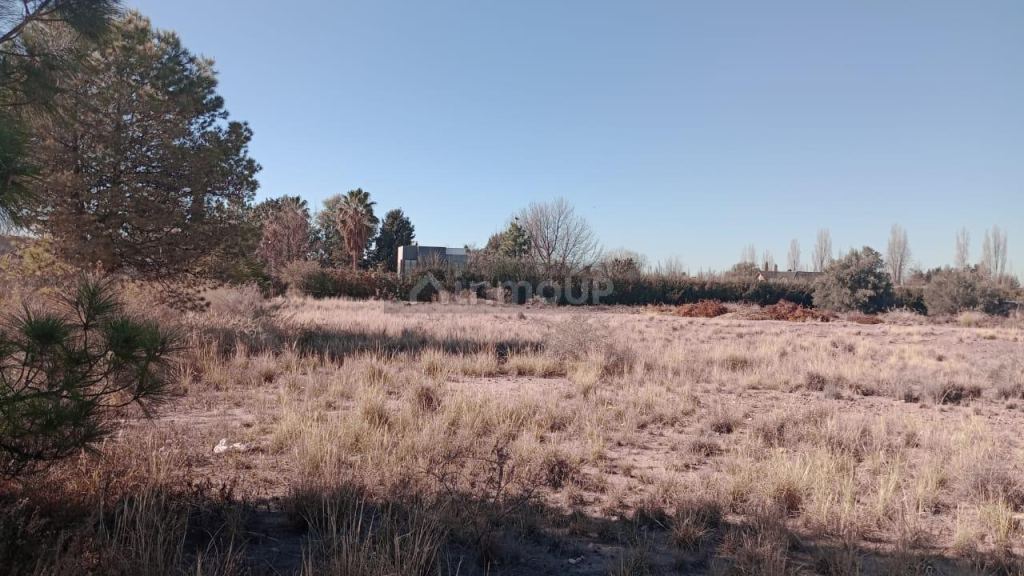 Lote en Venta en Lujan de Cuyo, Mendoza