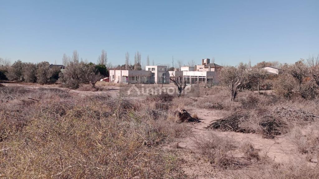 Lote en Venta en Lujan de Cuyo, Mendoza