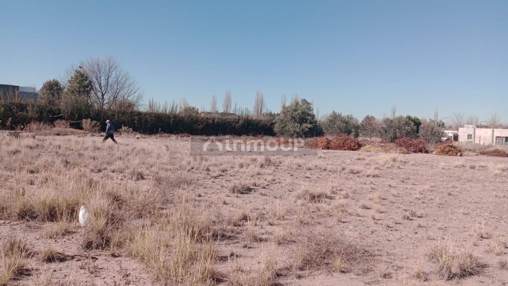 Lote en Venta en Lujan de Cuyo, Mendoza