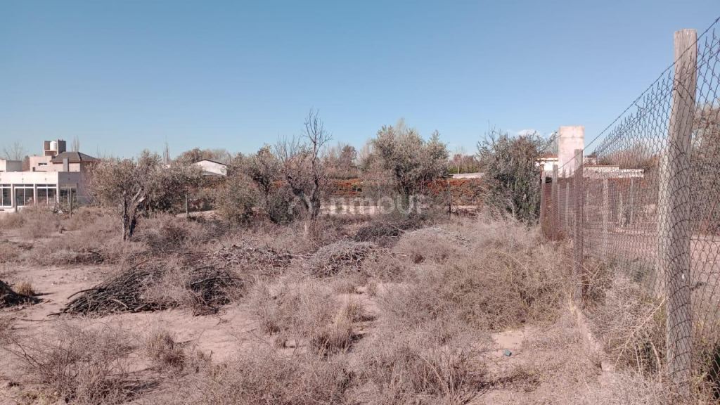 Lote en Venta en Lujan de Cuyo, Mendoza