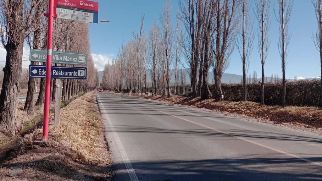 Lote en Venta en Lujan de Cuyo, Mendoza