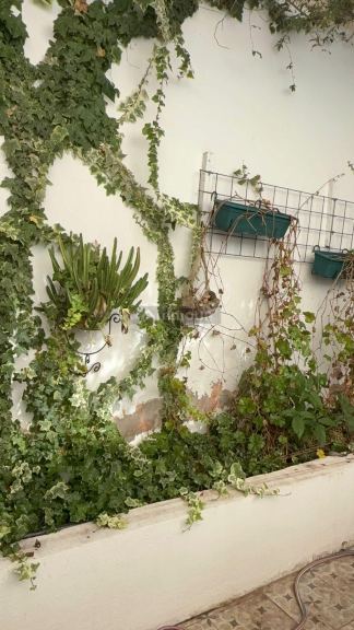 Duplex en Venta en Capital, Mendoza