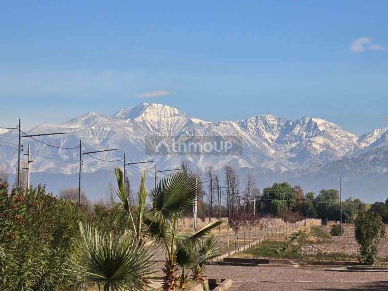 Lote en Venta en Maipu, Mendoza