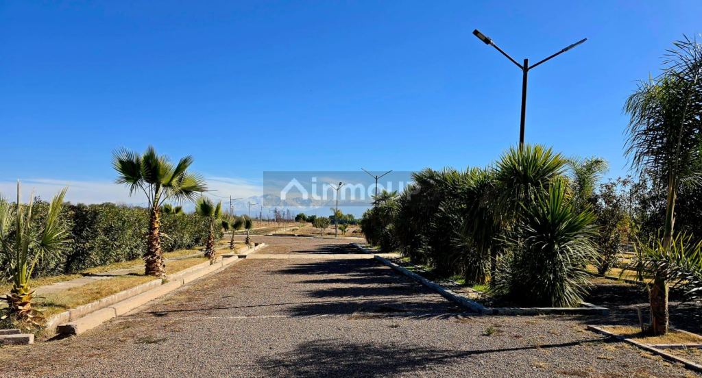 Lote en Venta en Maipu, Mendoza